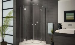 The Top 5 Items No Shower Should Be without