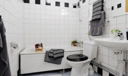 Dorm & Apartment Decor