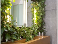 Modern Green Bathroom Idea