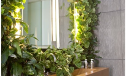 Modern Green Bathroom Idea