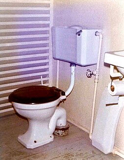 Rear Flush Toilet System